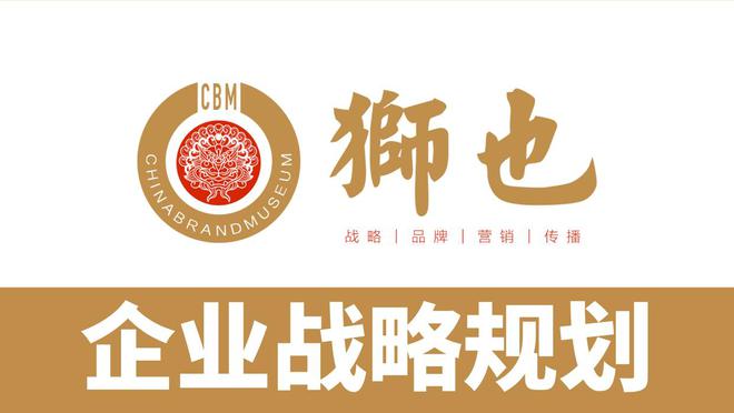 品牌智库河北石家庄知名企业的品牌策划战略解析战略咨询公司(图4)